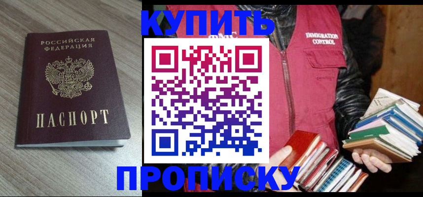 прописка 2025 в Камышлове
